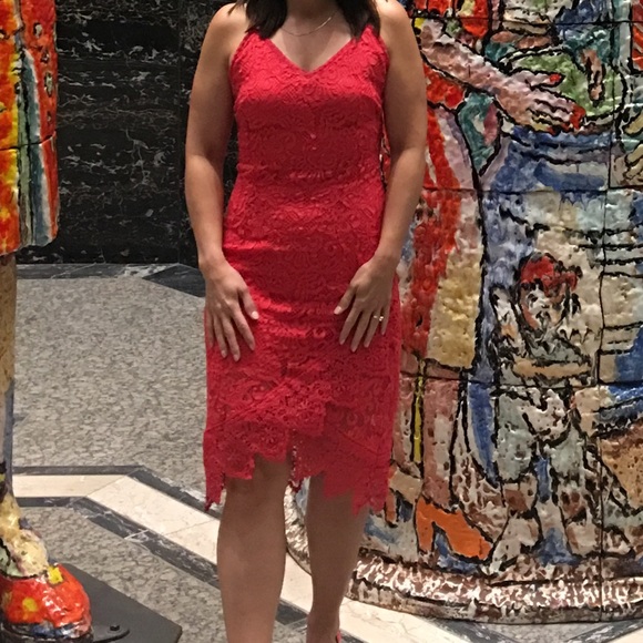 Beautiful and Classy BB Dakota RSVP Dress - Picture 5 of 7